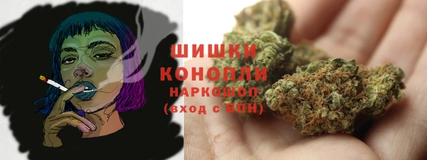 бутират Белокуриха