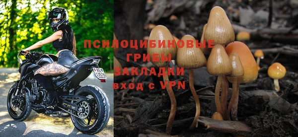 бутират Белокуриха