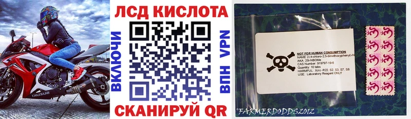 Наркотические марки 1500мкг  Куровское 