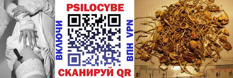 Псилоцибиновые грибы прущие грибы  Куровское 